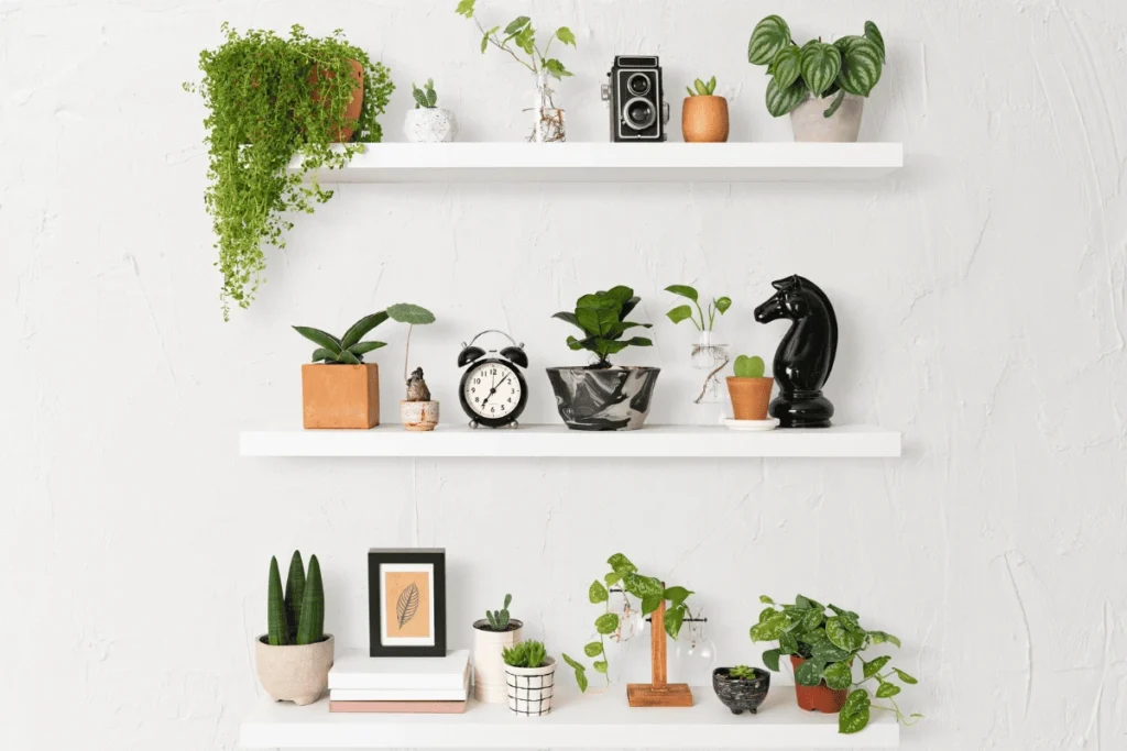decoração com plantas em ambientes sem janela