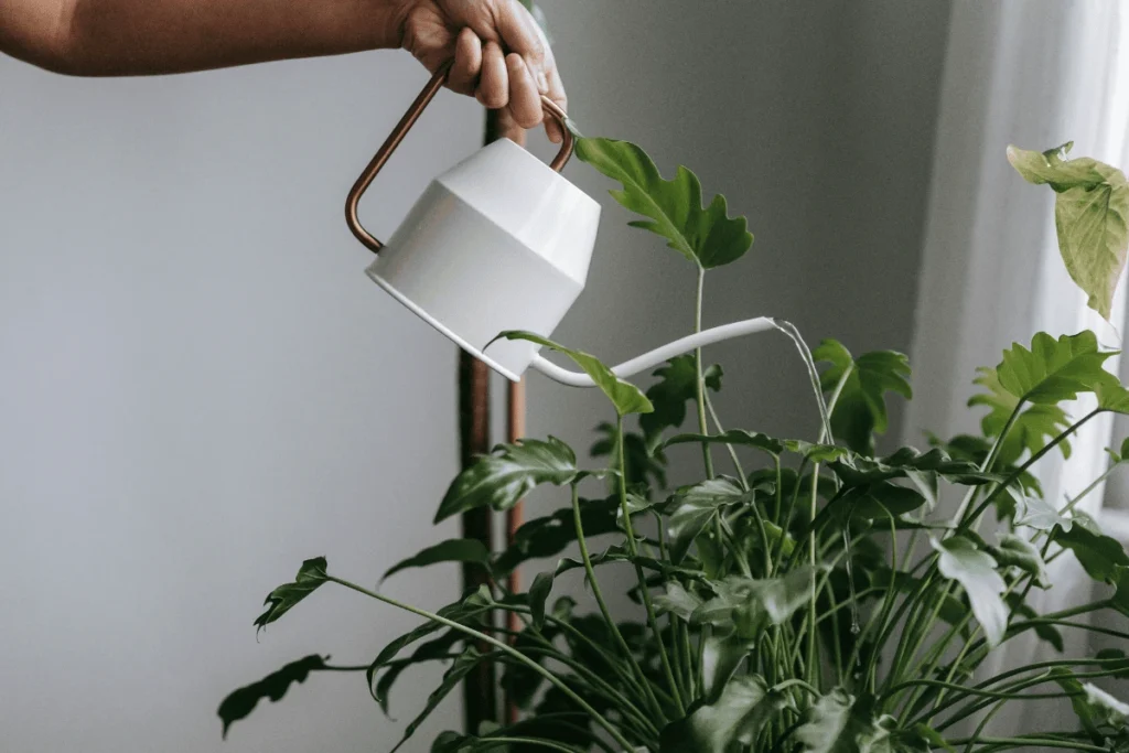 jardim interno em locais sem luz natural