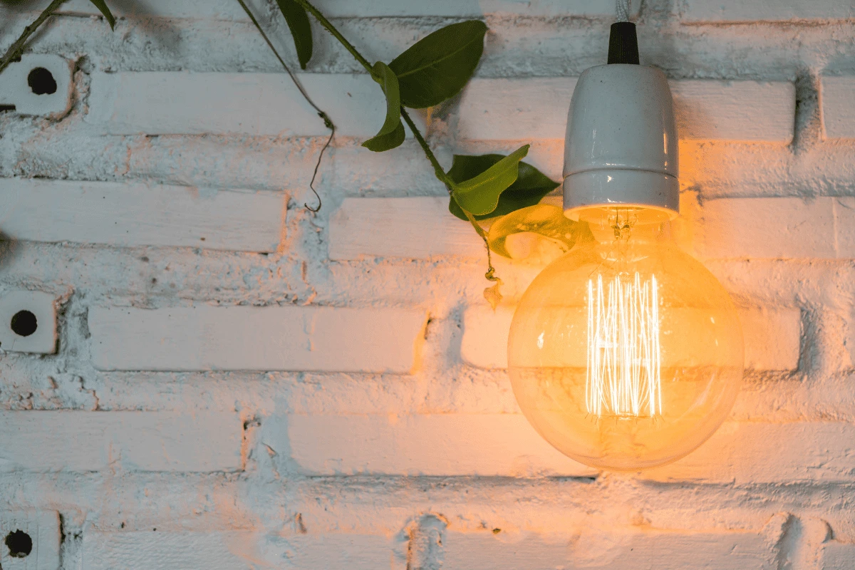 Evite erros! led ou fluorescente para plantas – qual o melhor?