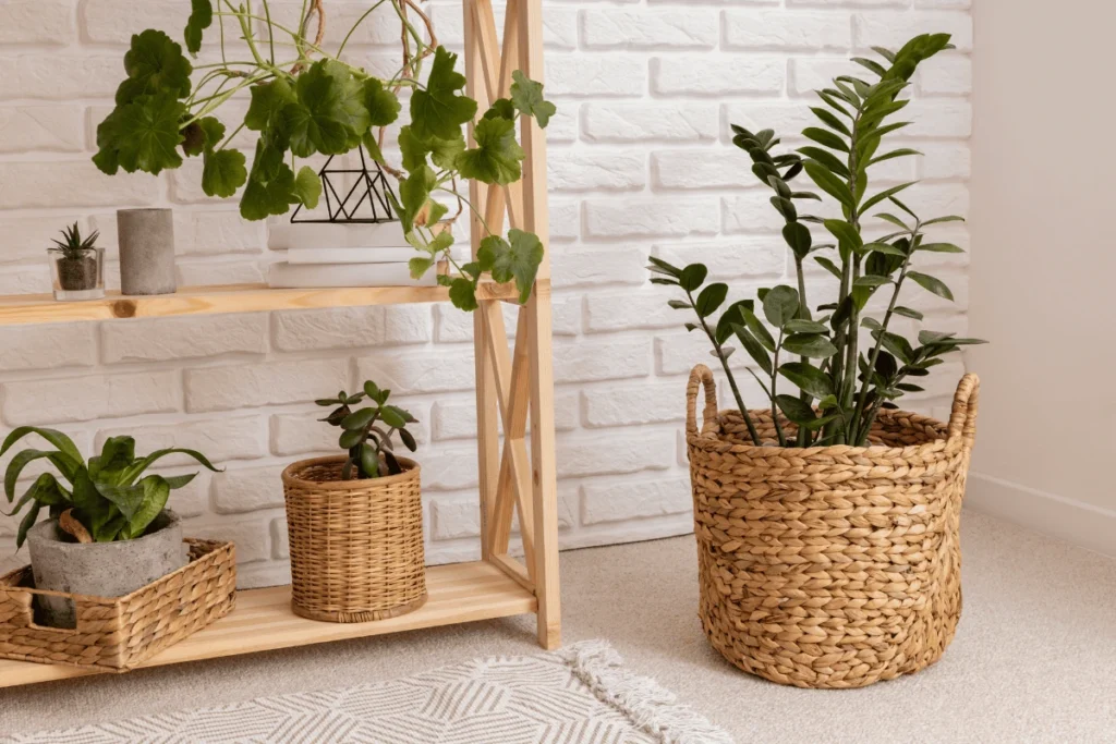 suporte para plantas