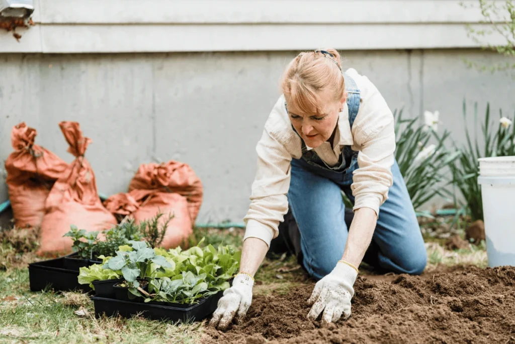 Cultivar Plantas em Ambientes Sem Luz Natural
