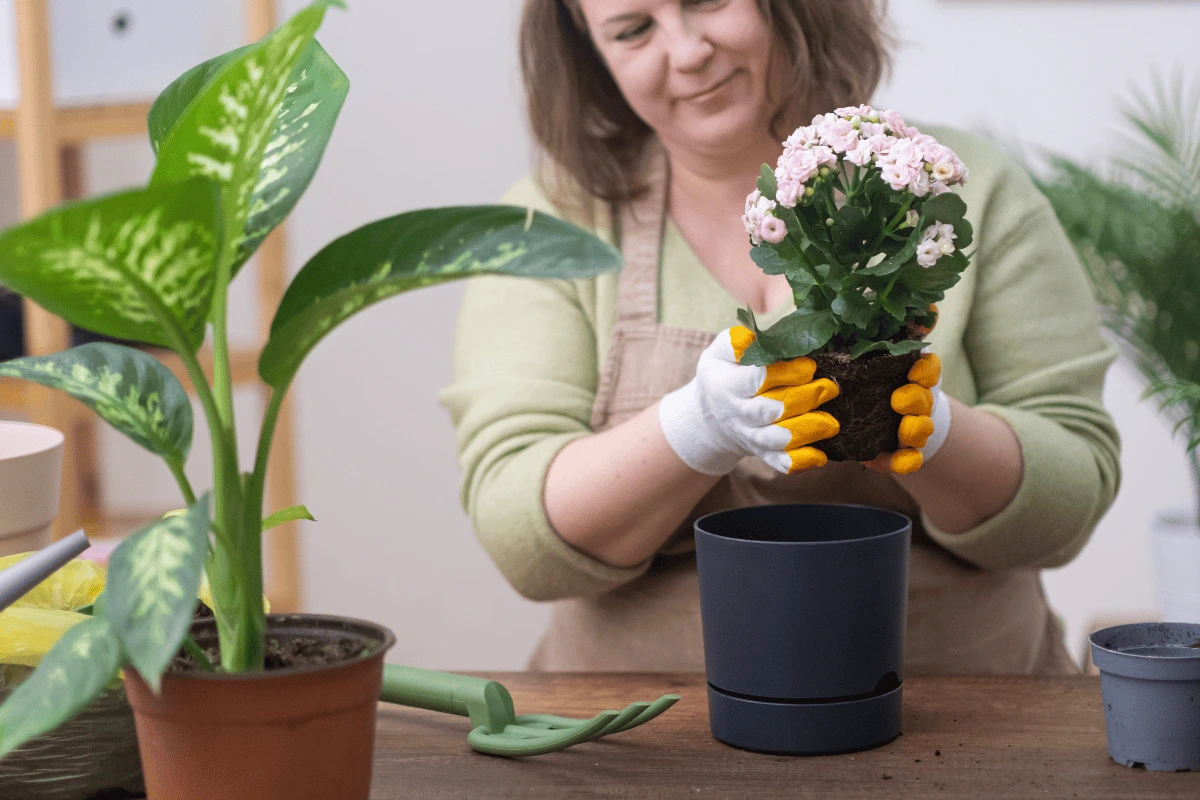 5 Dicas para ajustar solo e fertilizantes no cultivo de plantas sem luz