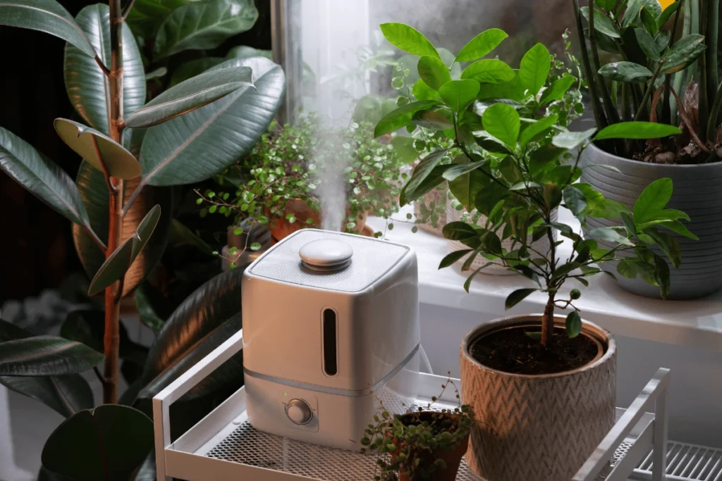Cultivo de Plantas Sem Luz