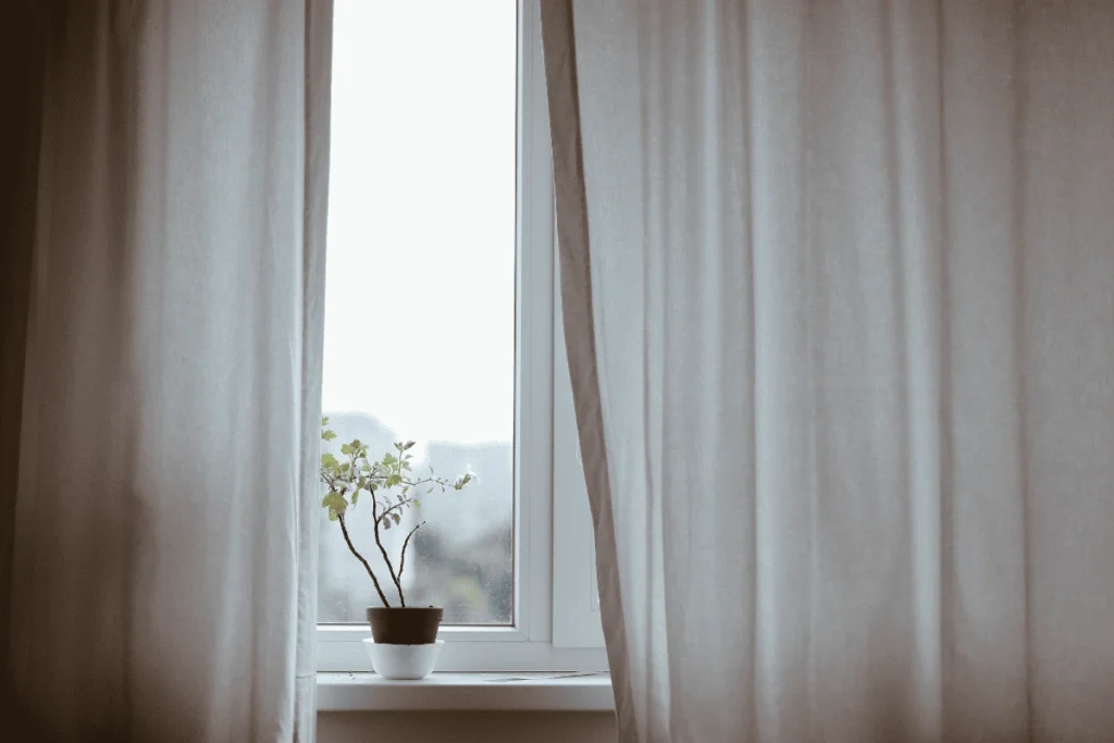 Plantas Saudáveis em Ambientes Sem Luz Natural