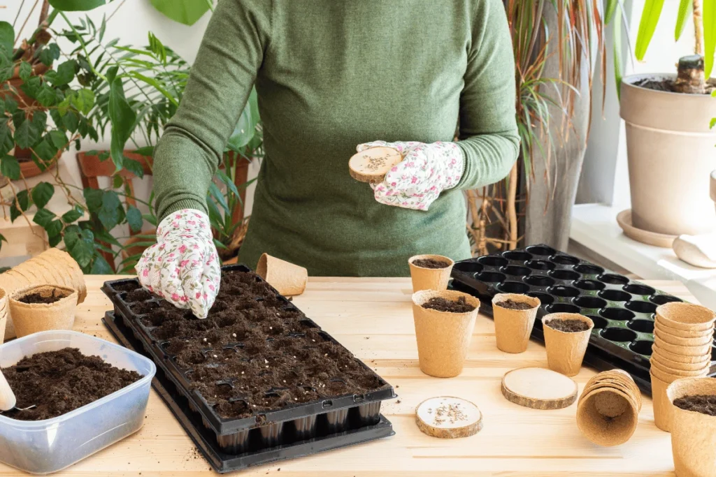 Plantas Saudáveis em Ambientes Sem Luz Natural