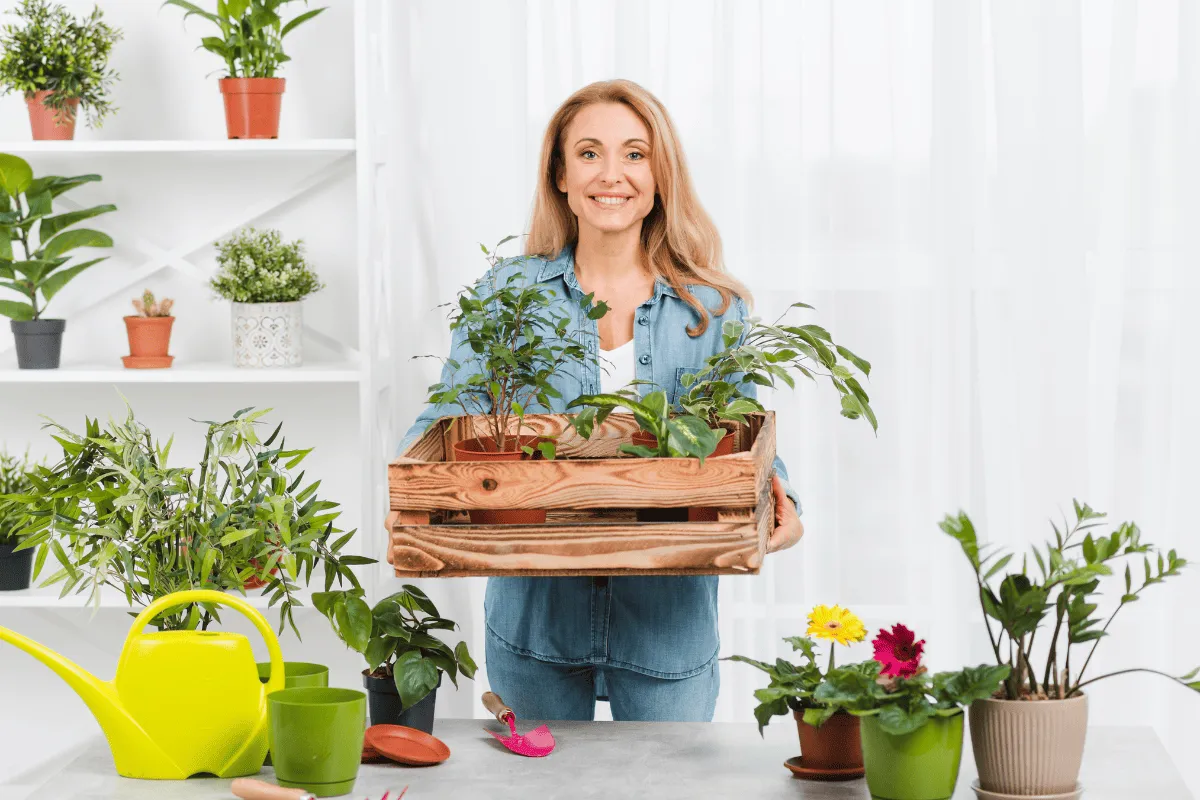 11 Dicas infalíveis de como cuidar de plantas em casa e mantê-las sempre saudáveis