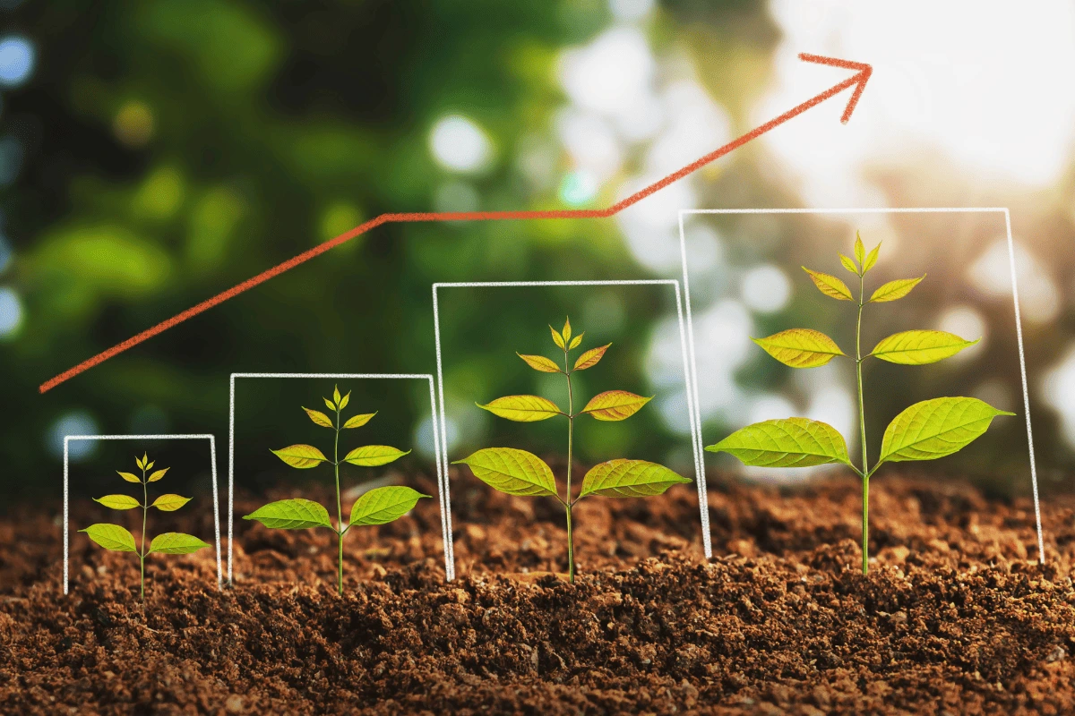 3 ações imediatas quando suas plantas não crescem em ambientes sem luz natural