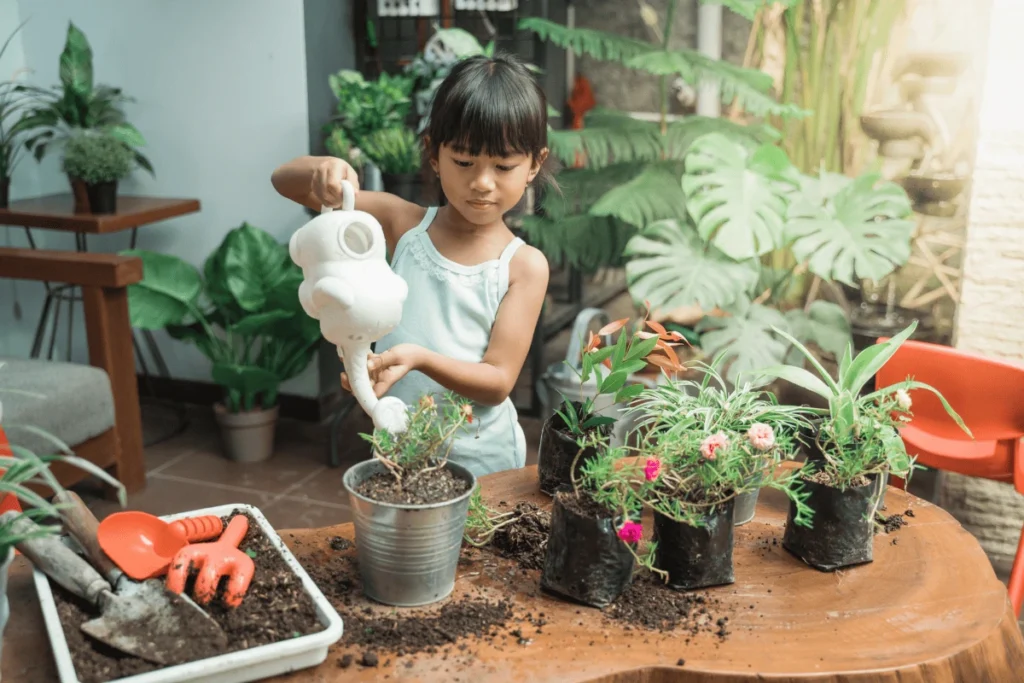 plantas saudáveis sem luz natural