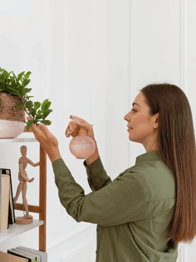 3 plantas lindas que sobrevivem mesmo na correria