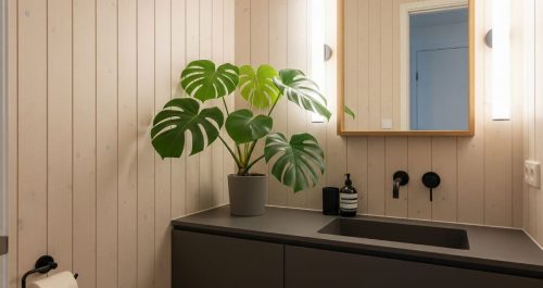  Planta costela-de-adão em lavabo sem janela com iluminação LED.