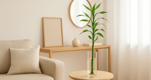 Bambu da sorte no lugar certo: ative prosperidade e harmonia com pequenos gestos de intenção.