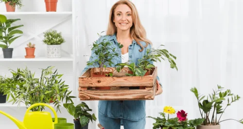 11 Dicas infalíveis de como cuidar de plantas em casa e mantê-las sempre saudáveis