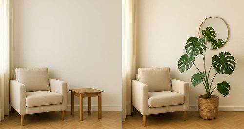 Costela-de-adão no Feng Shui: o que essa planta atrai (e por que colocar em casa)