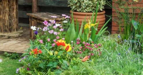 Formigas invadindo seu jardim? 5 plantas que resolvem isso naturalmente!