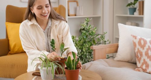 A ciência explica: como cuidar de plantas melhora sua saúde mental