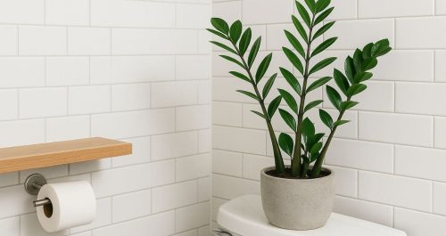 Planta para lavabo sem janela? Essa aqui é charmosa, resistente e sem frescura