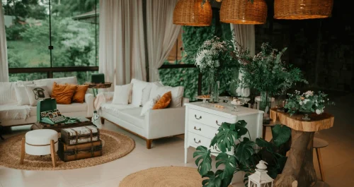 plantas fáceis de cuidar
