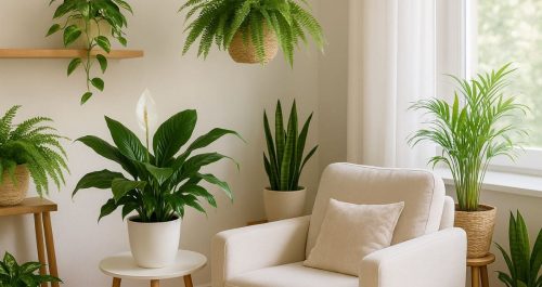 Purifique o ar: conheça as plantas que limpam seu espaço