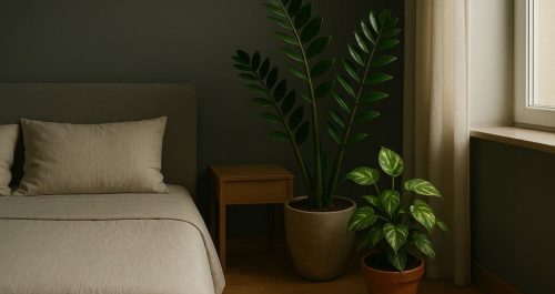 Descubra 5 plantas resistentes perfeitas para quartos escuros. Elas não só sobrevivem sem sol, como transformam o ambiente com frescor e leveza.
