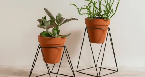 5 tipos de suporte para plantas para decorar seu lar com estilo